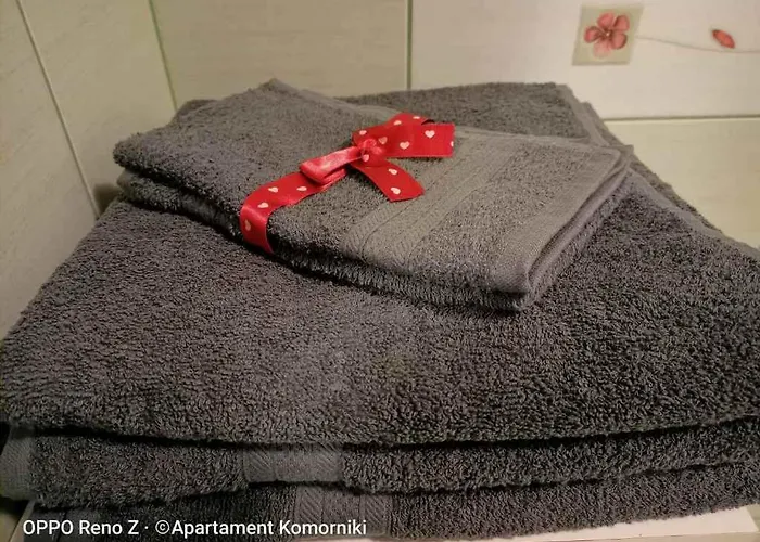 アパート Apartament Komorniki *